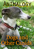 Thumbnail Animalogy: Dogs and Other Canids - Bassam Imam Thumbnail Animalogy: Dogs and Other Canids - Bassam Imam